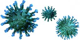 Themenseite: Coronavirus